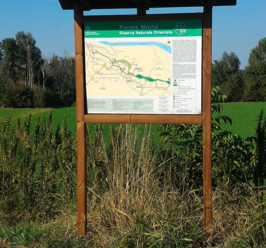Riserva naturale orientata Parma Morta-Mezzani必去景点