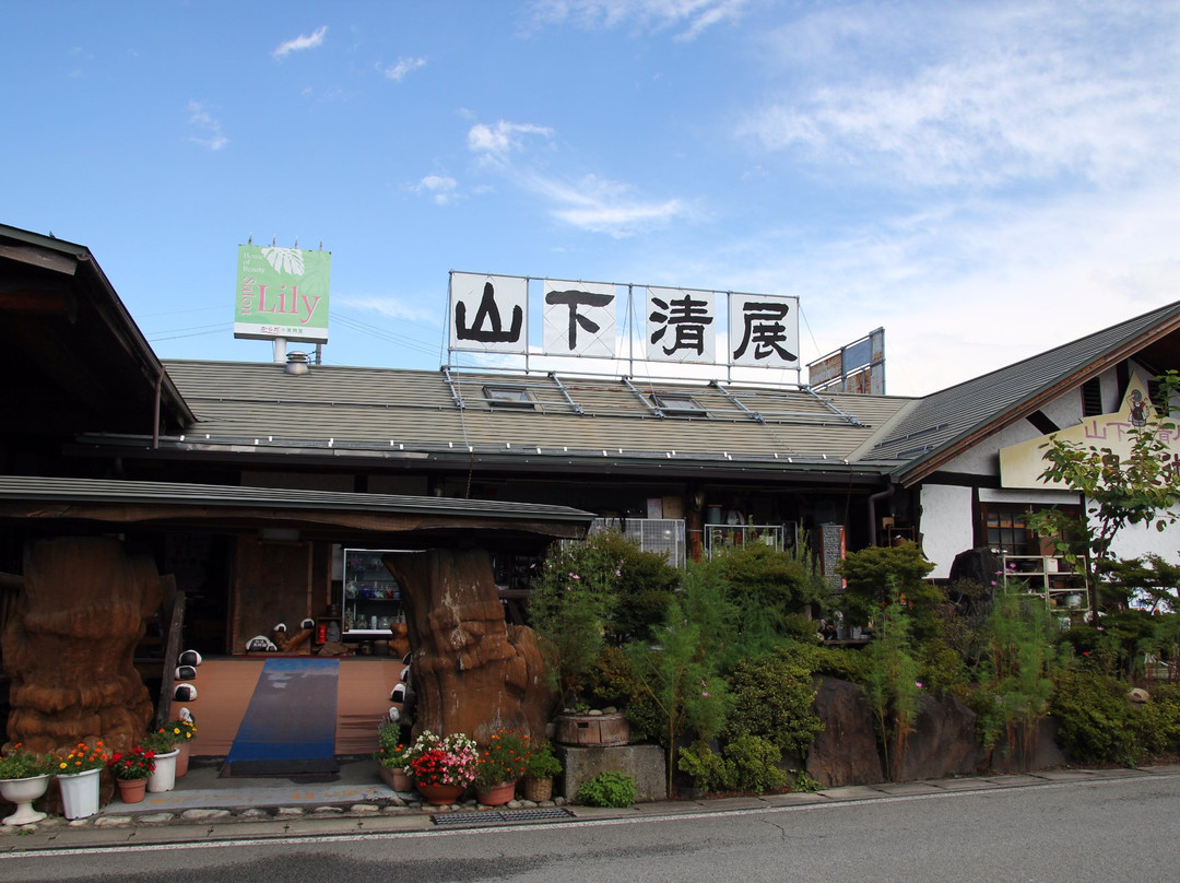 茅野市旅游景点-Horo Museum of Art
