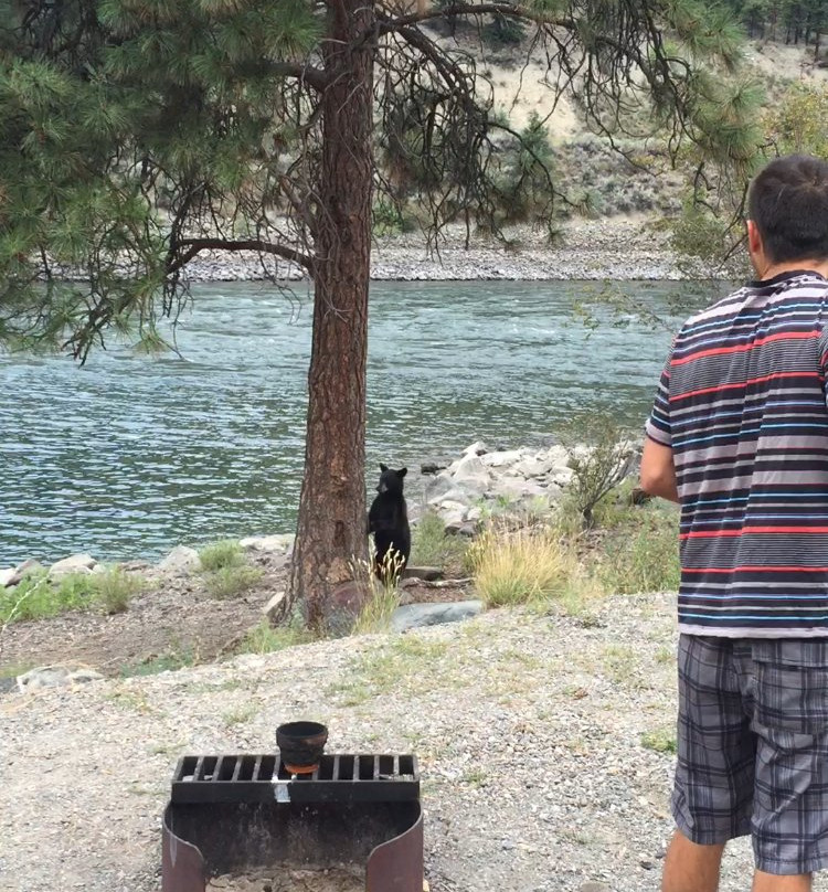 Goldpan Provincial Park-Spences Bridge必去景点