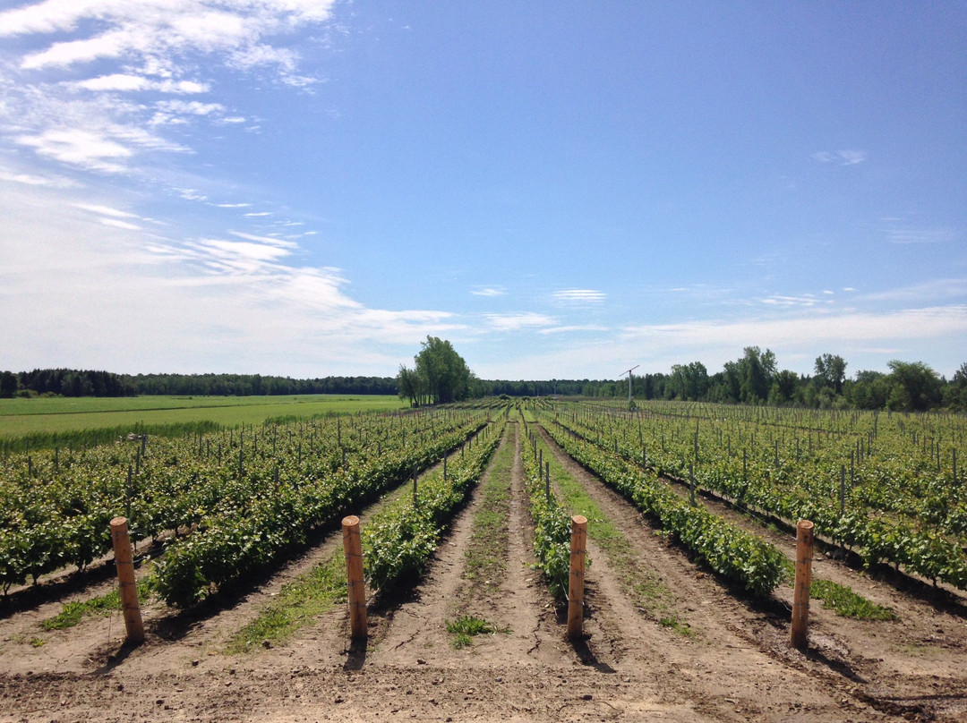 Vignoble du Domaine St-Jacques-Saint-Jacques-Le-Mineur必去景点