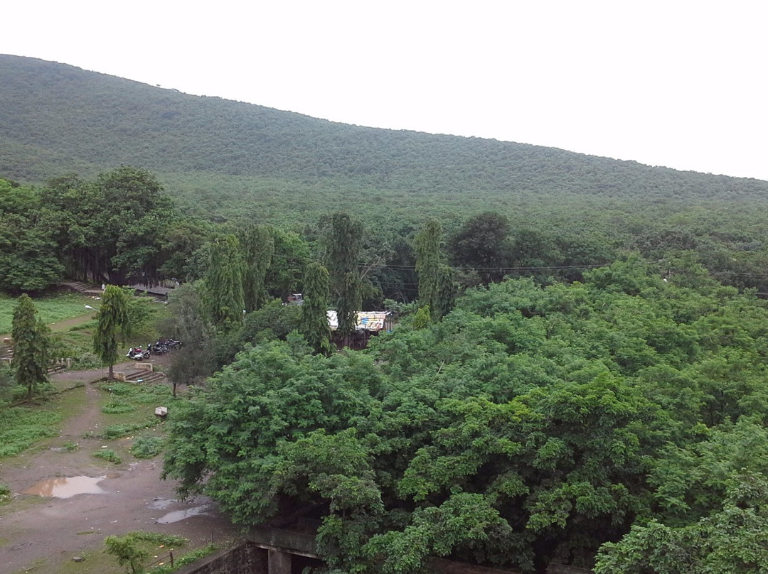 Wellington Dam-居那加德必去景点
