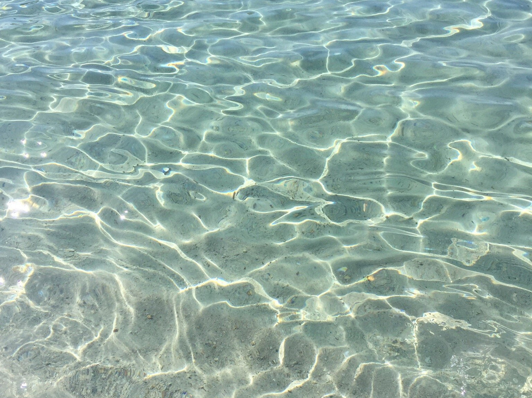 Escursioni e Trekking Dolceluna-San Priamo必去景点