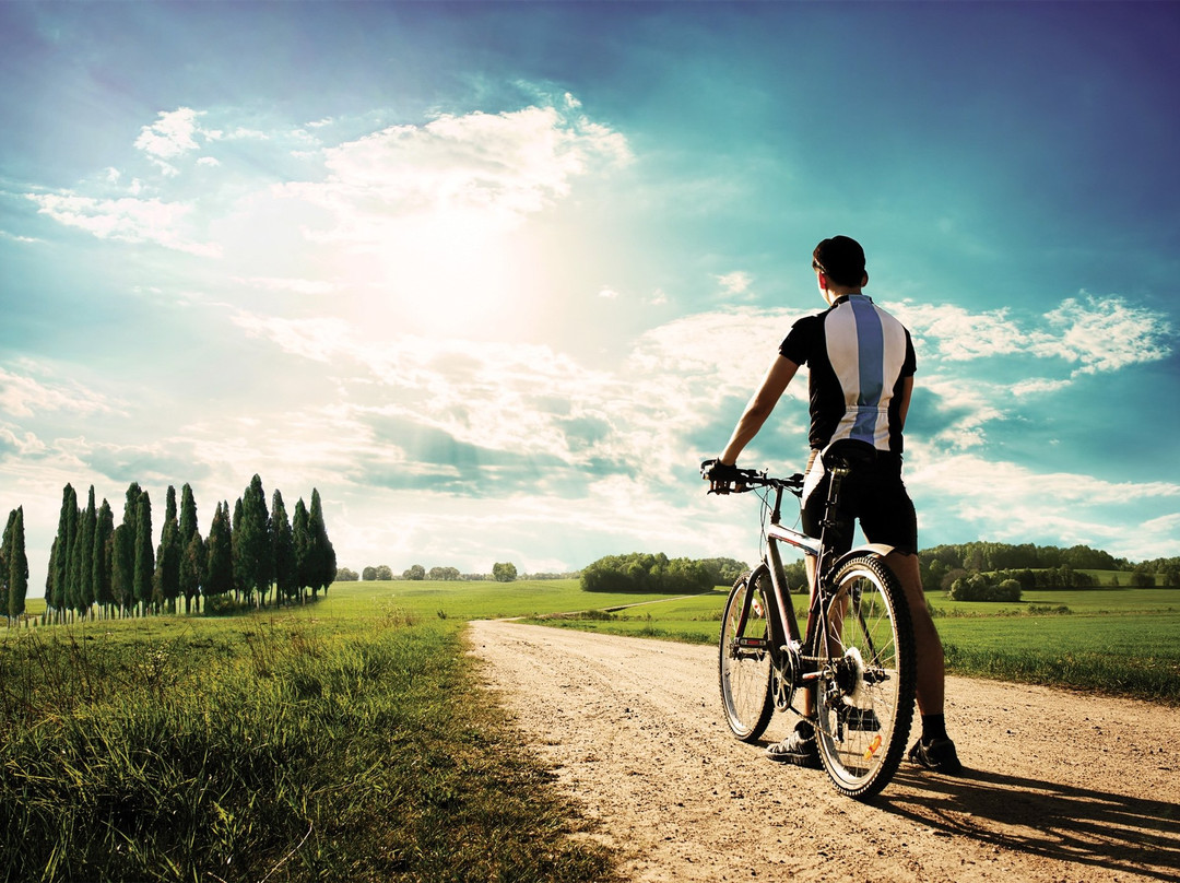 Biking Team景点图片