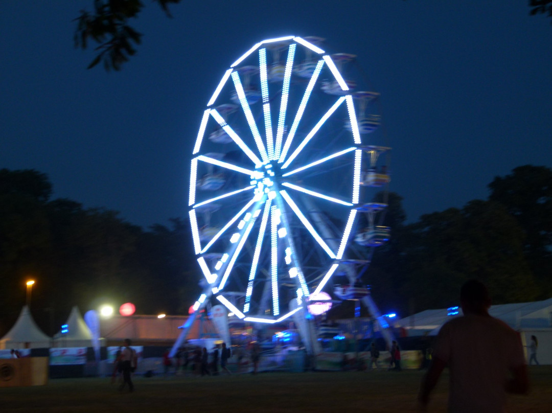 The Vieilles Charrues Festival景点图片
