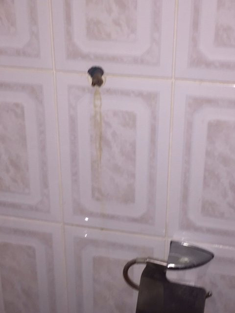 Hotel Royal主图