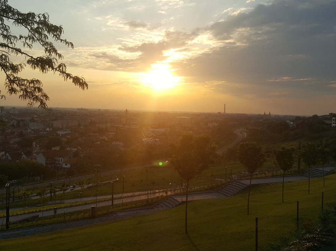 Ciuperca Hill景点图片