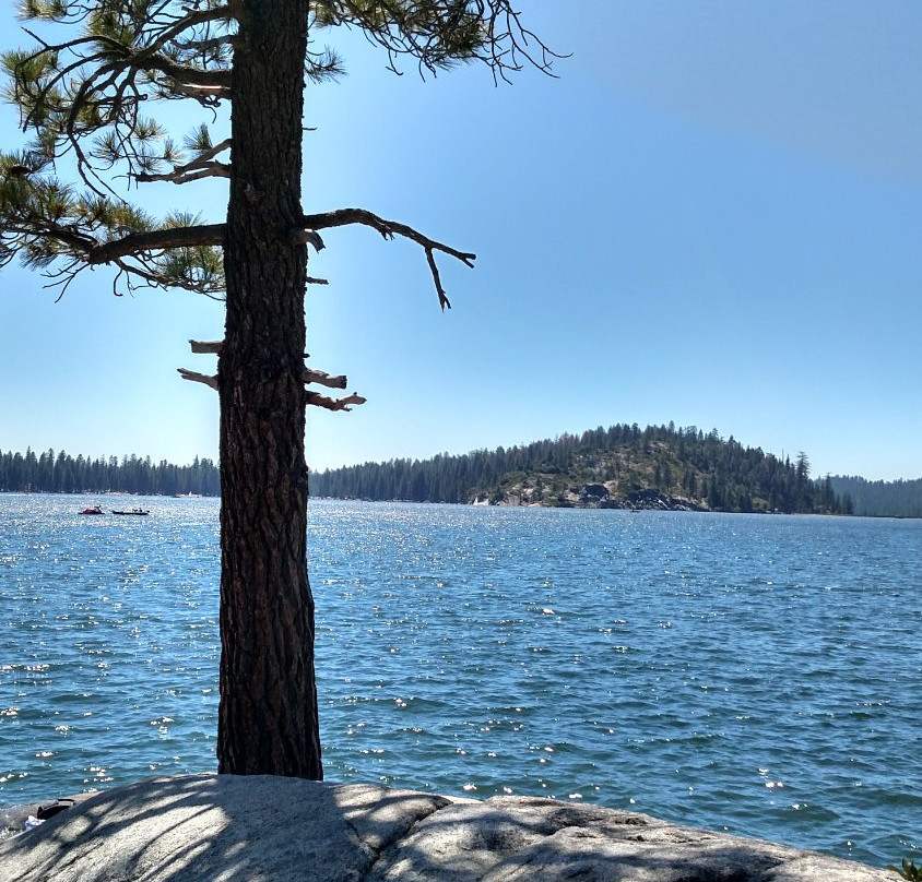 Pinecrest Lake Marina景点图片