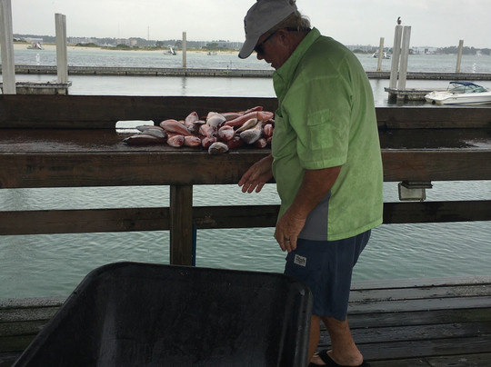 Outcast Charter Docks-橙色海湾必去景点