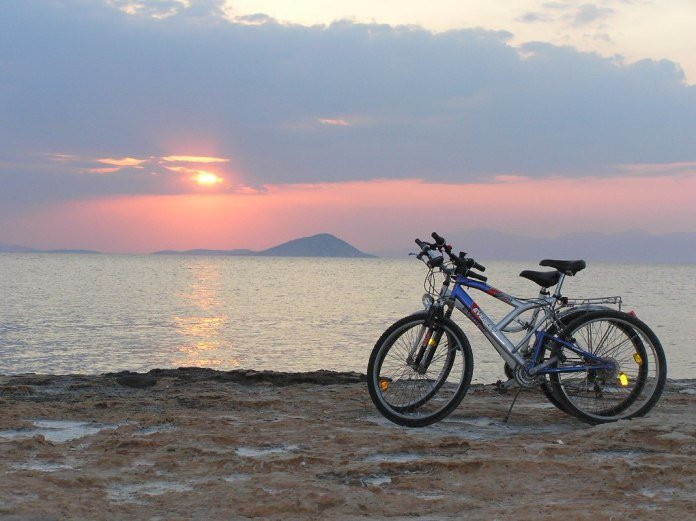 Fiora Bikes景点图片