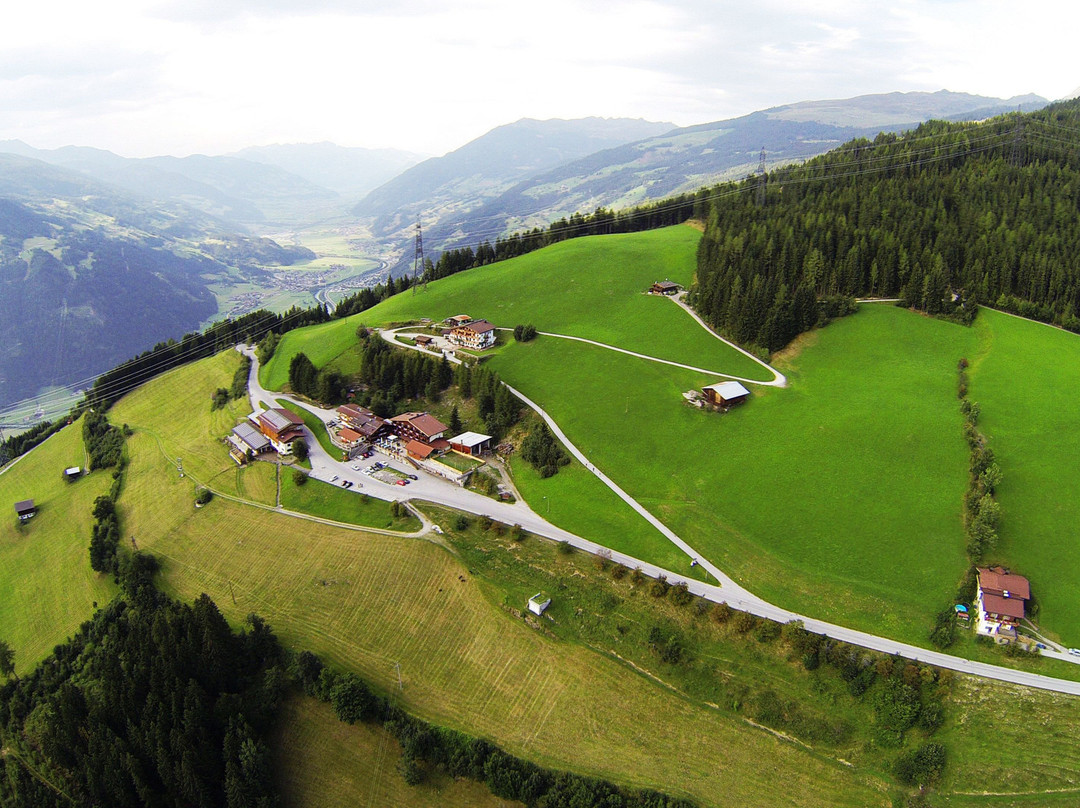 Alpengasthof Enzianhof主图