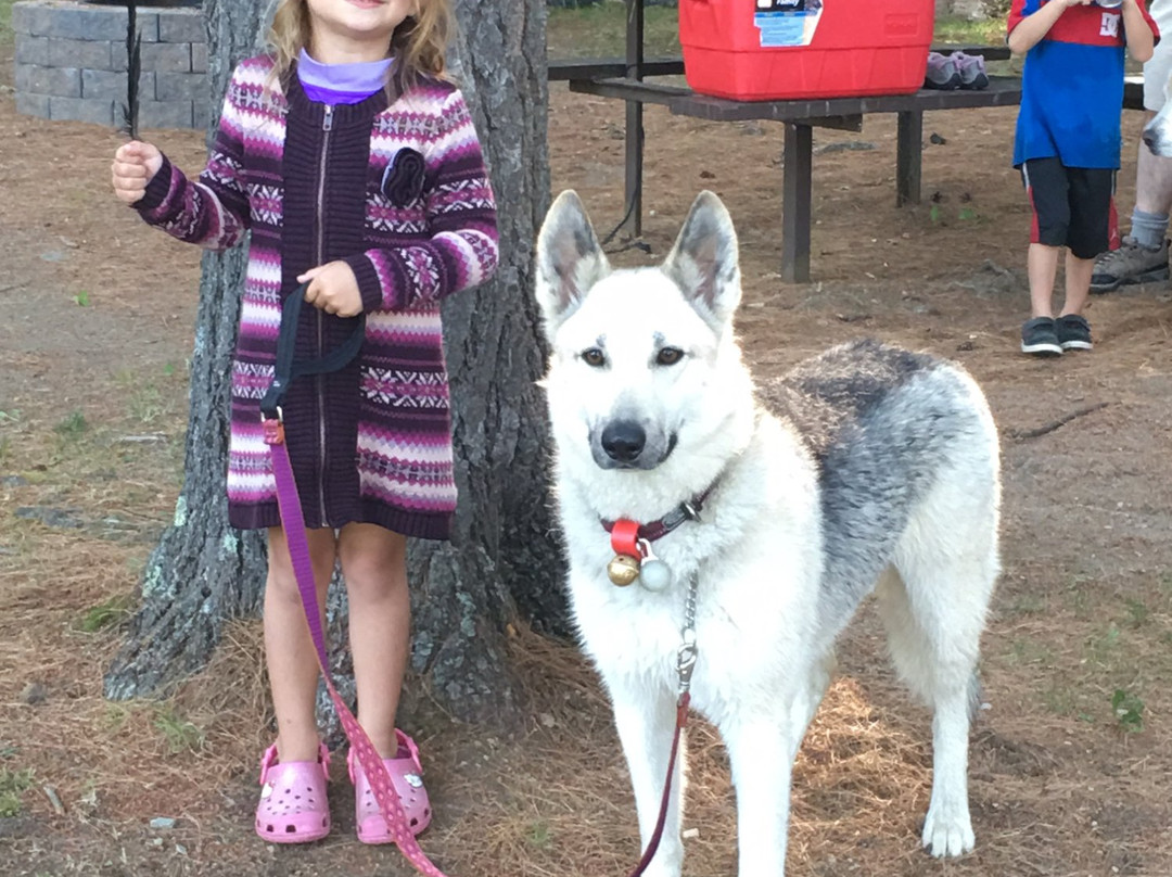 Wilmington Town Beach-Wilmington必去景点