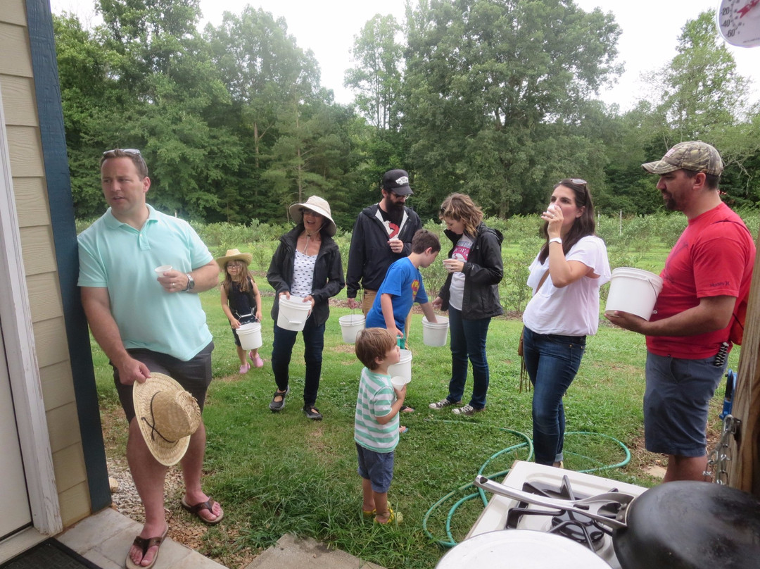 Cool Springs Blueberry Farm-盖恩斯维尔必去景点