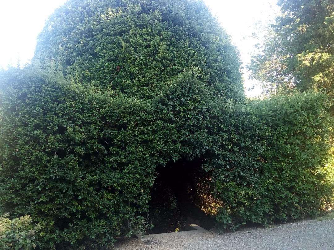 Terme della Via Francigena-Gambassi Terme必去景点
