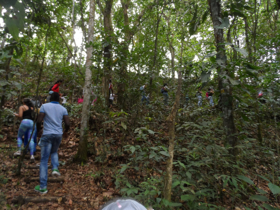 Granja Integral Mama Lombriz-Popayan必去景点