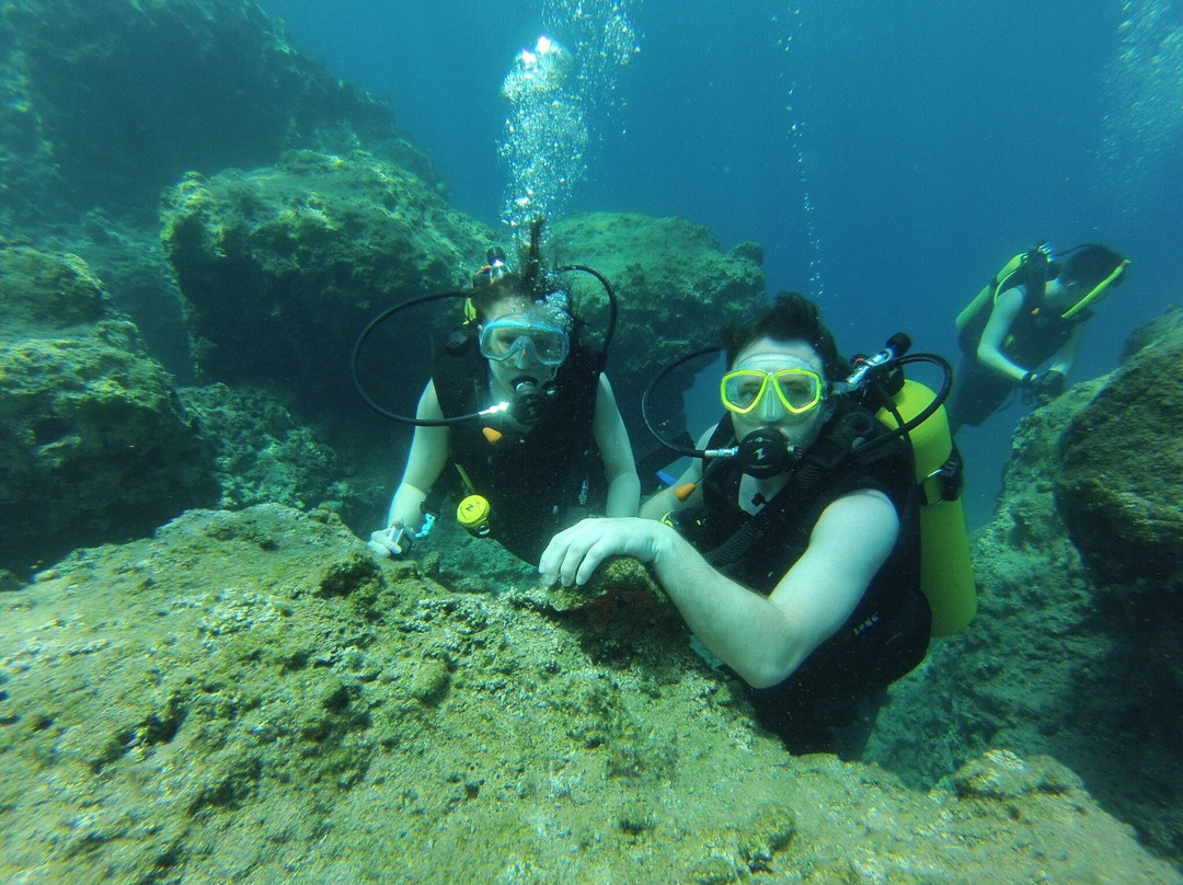 Dream Dive Centre景点图片