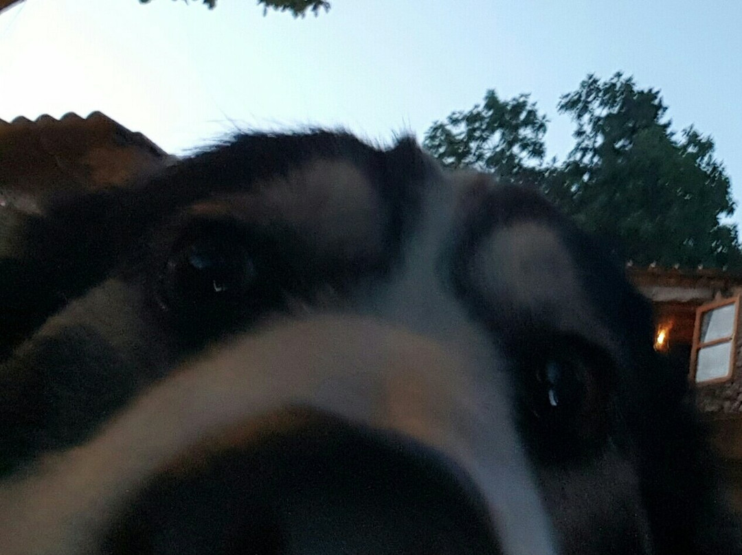 Ampelostrates-Koiliomenos必去景点