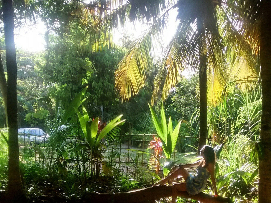 Tropical Labyrinth-La Asuncion必去景点