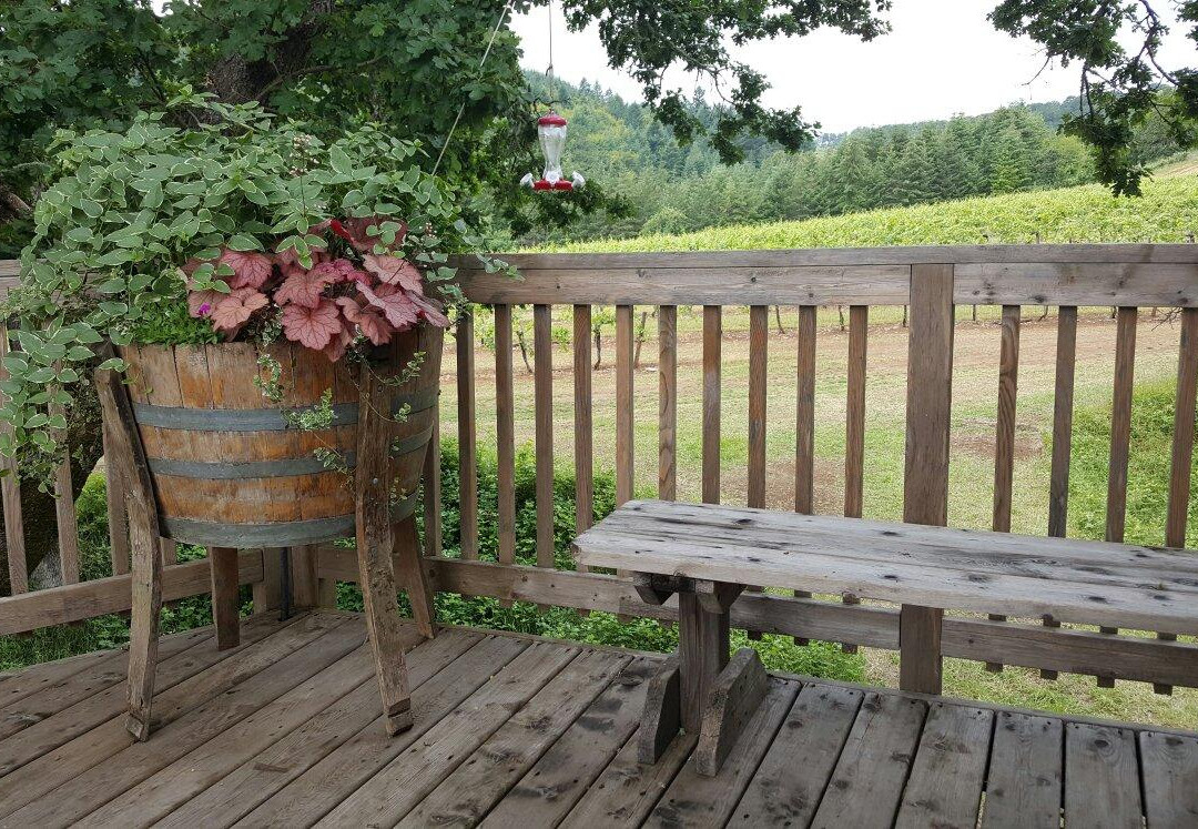 Yamhill Valley Vineyards-麦克明维尔必去景点