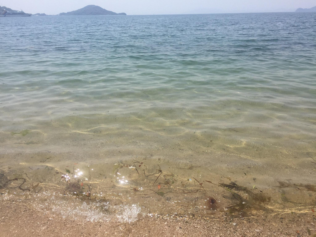 Olive Beach景点图片