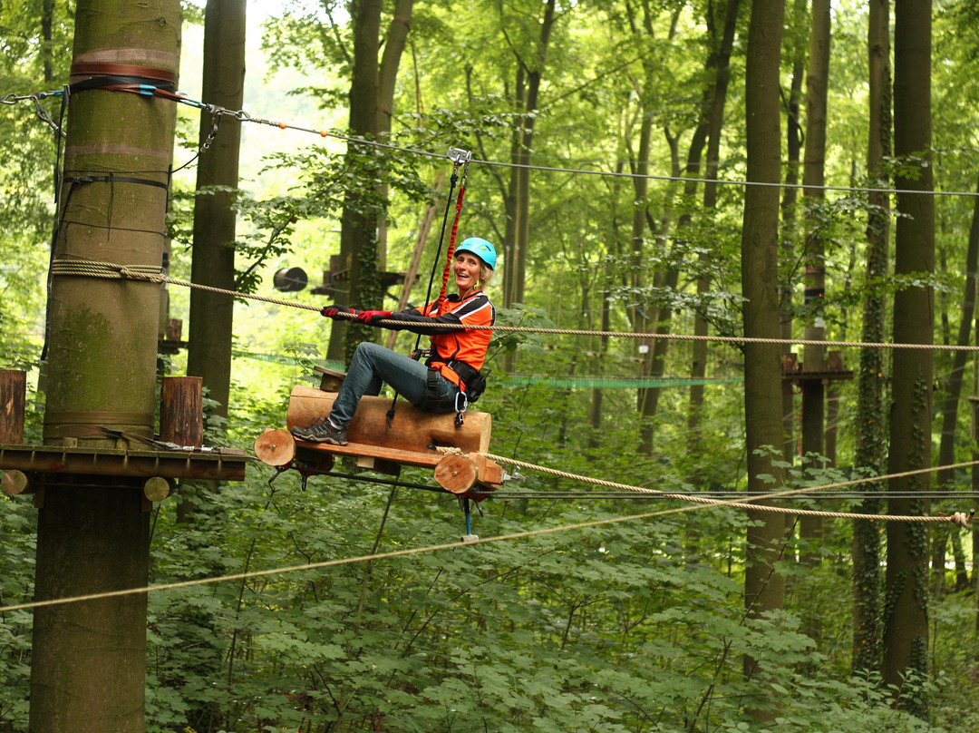 Kletterwald Haltern景点图片