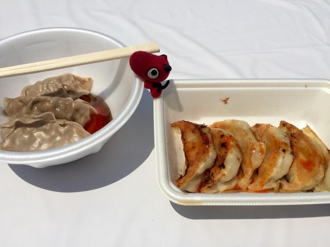 Utsunomiya Gyoza Festival-宇都宫市必去景点