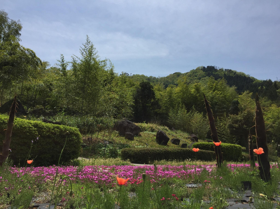 Funaoka Chikurin Park景点图片