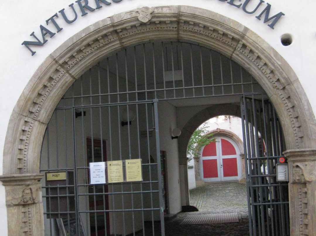 Naturkundemuseum-爱尔福特必去景点