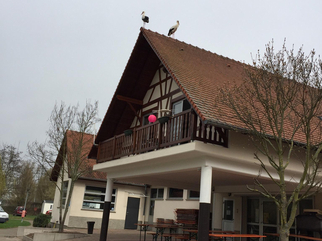 Camping Municipal de Molsheim