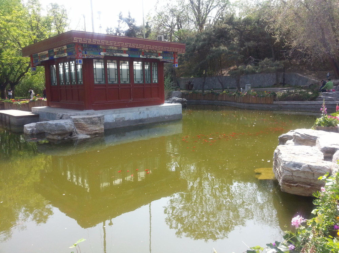 万寿公园-北京市必去景点