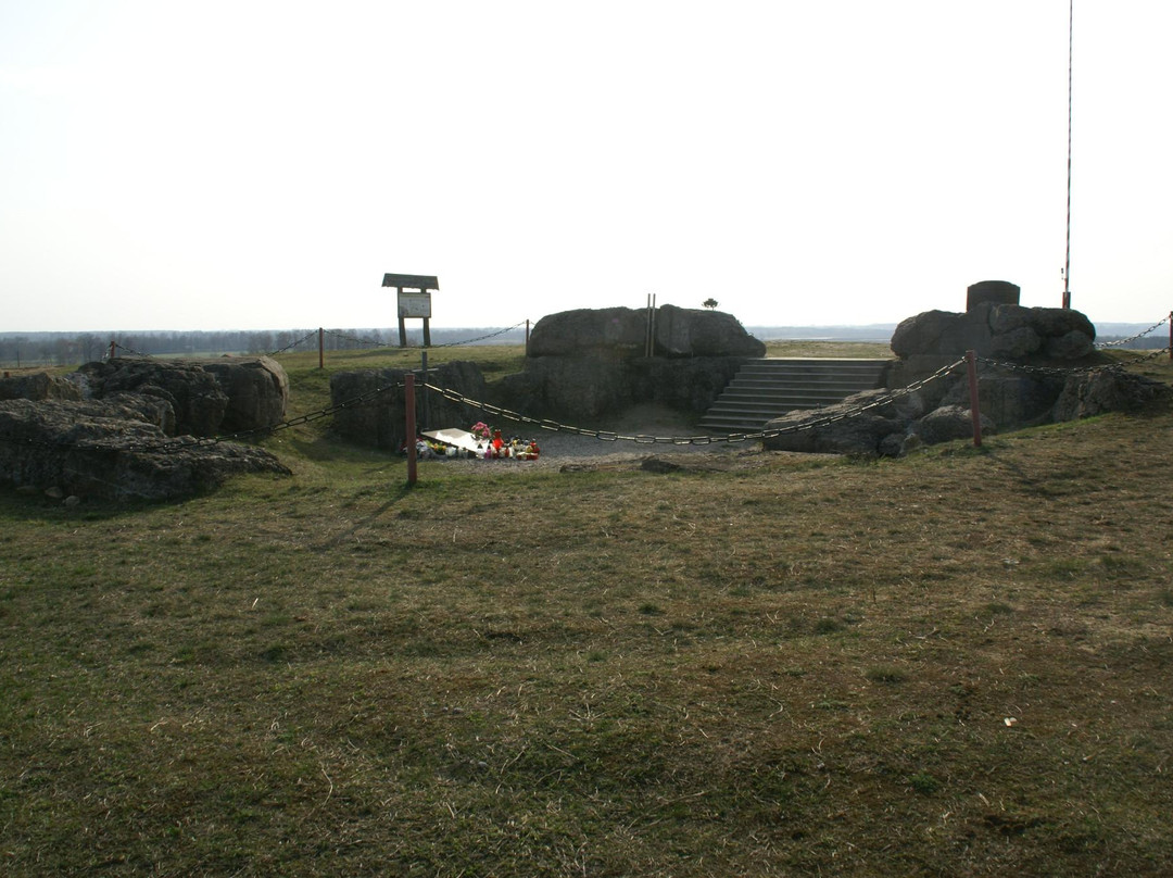 Pomnik bitwy pod Wizną景点图片