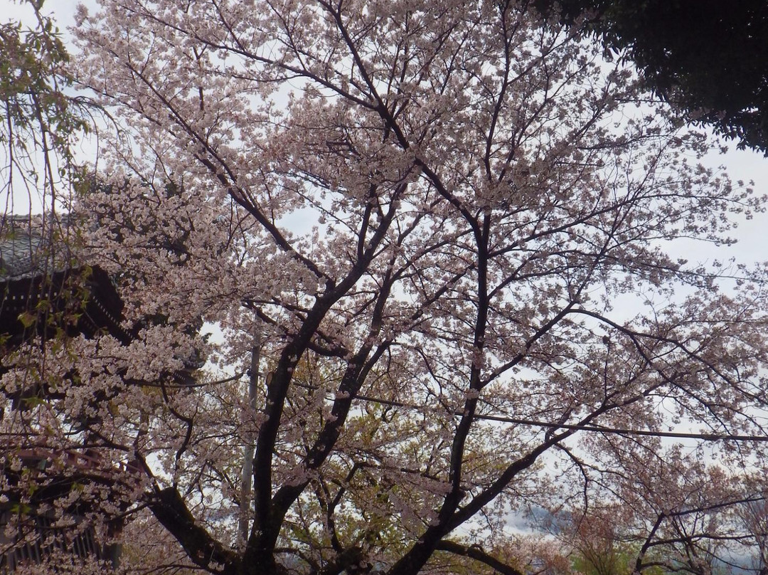 Hoju-in Temple景点图片