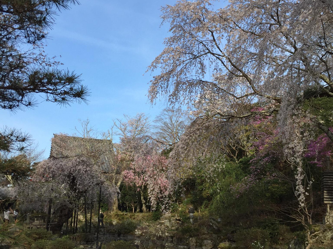 Chikurinin Gumpoen景点图片