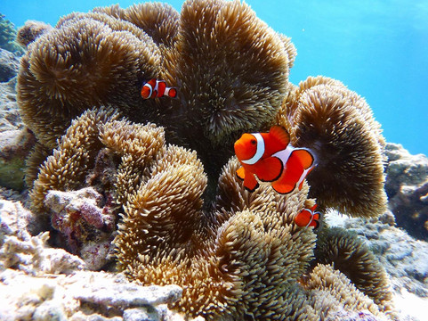 X-Trip-名护市必去景点