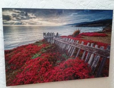 Studio 391 Fine Art Gallery景点图片