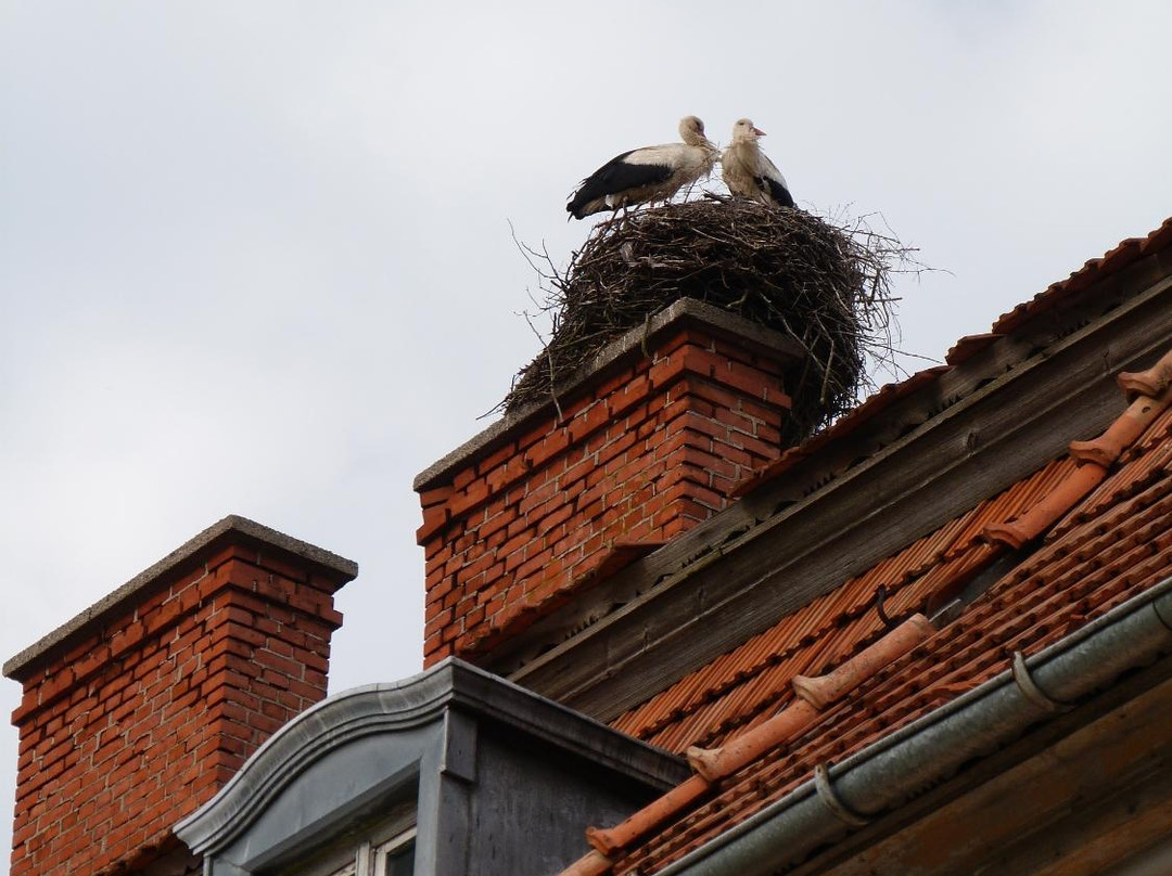 Kreishaus Gerdauen-Zheleznodorozhnyy必去景点