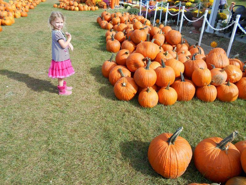 Gene the Pumpkin Man景点图片