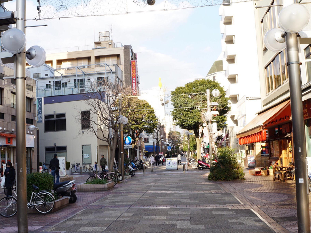 Isezaki Mall景点图片
