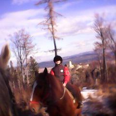 Hotel Concordia主图