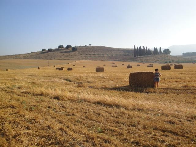 Alexander Zeid Monument-Kiryat Tivon必去景点