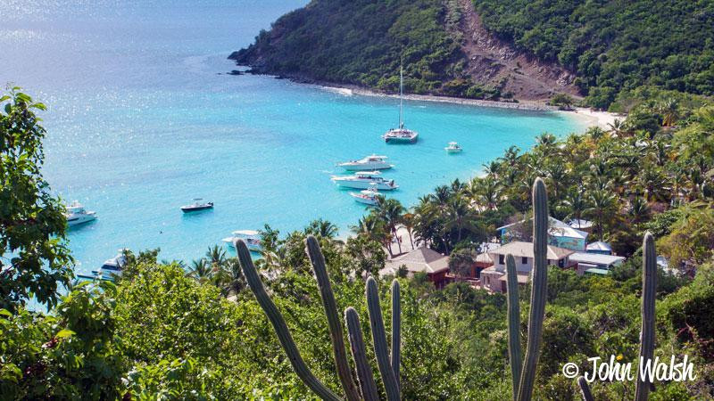 Perfect Pineapple Guest Houses主图