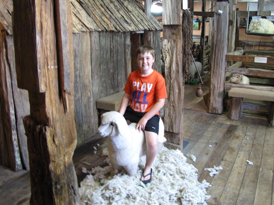 The Woolshed Museum景点图片