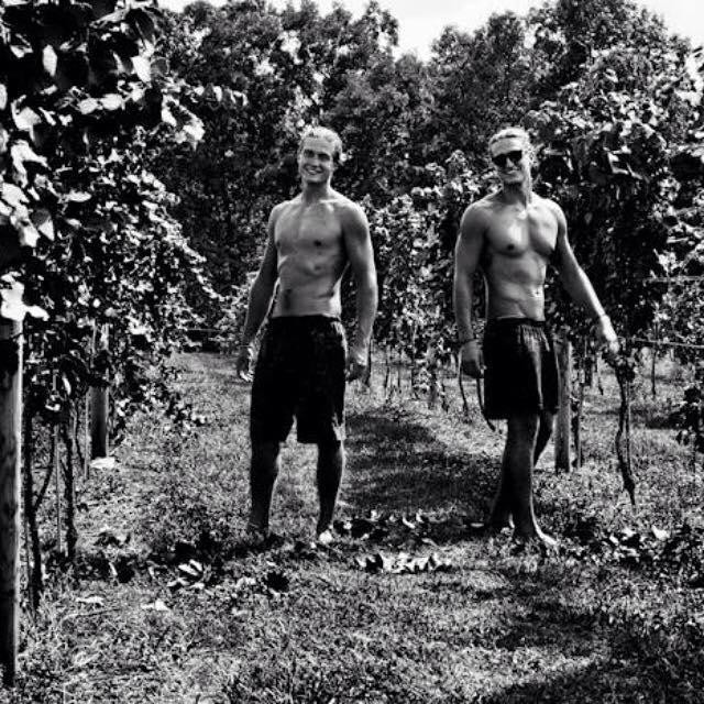 WayVine Winery & Vineyard景点图片