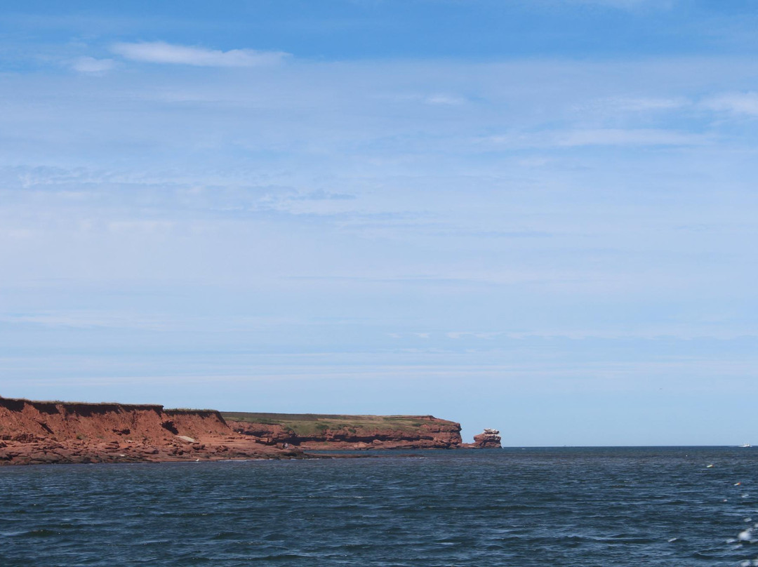 Graham's Deep Sea Fishing-卡文迪西必去景点