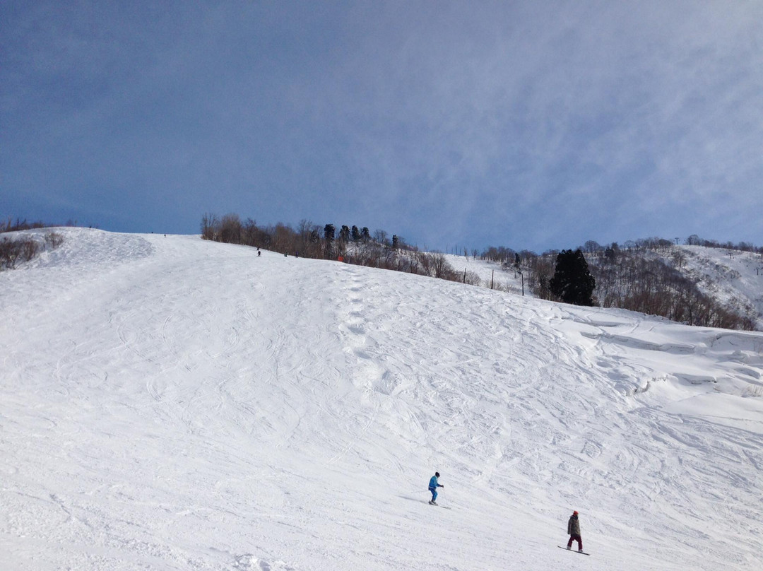Hakusan Seymour Ski Resort景点图片