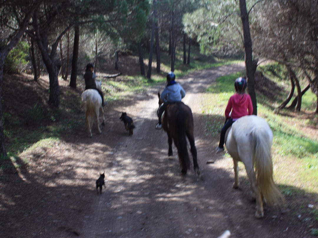 Equivicentinos-Vila do Bispo必去景点