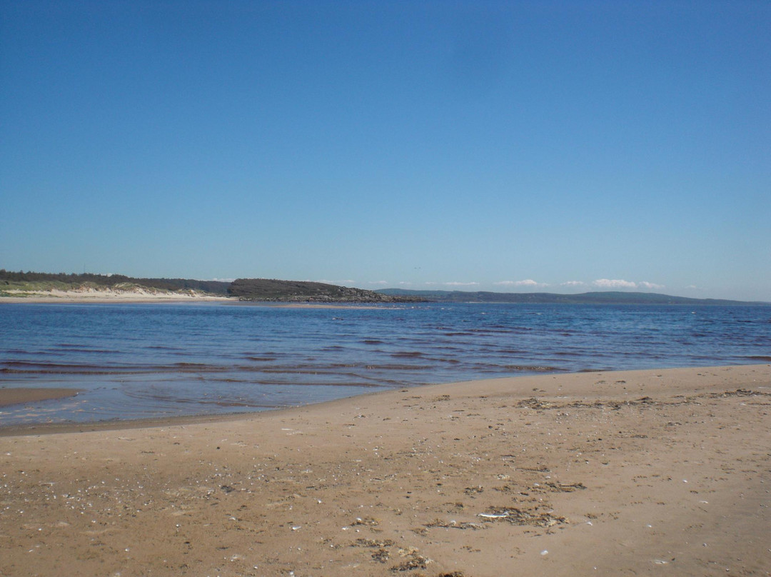 Grimsholmen Nature Reserve-Falkenberg必去景点