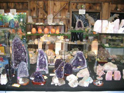 The Rock, Fossil, and Dinosaur Shop-南迪尔菲尔德必去景点