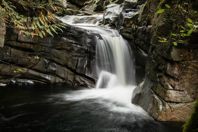 Chapman Creek Hatchery-Sechelt必去景点