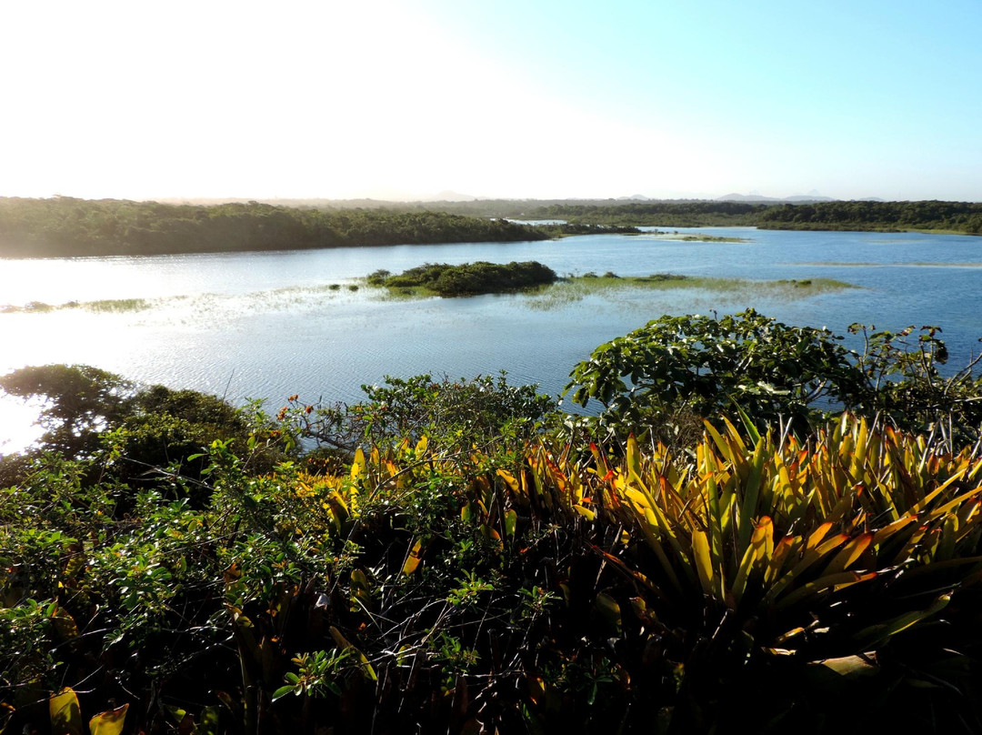 Parque Estadual Paulo Cesar Vinha景点图片