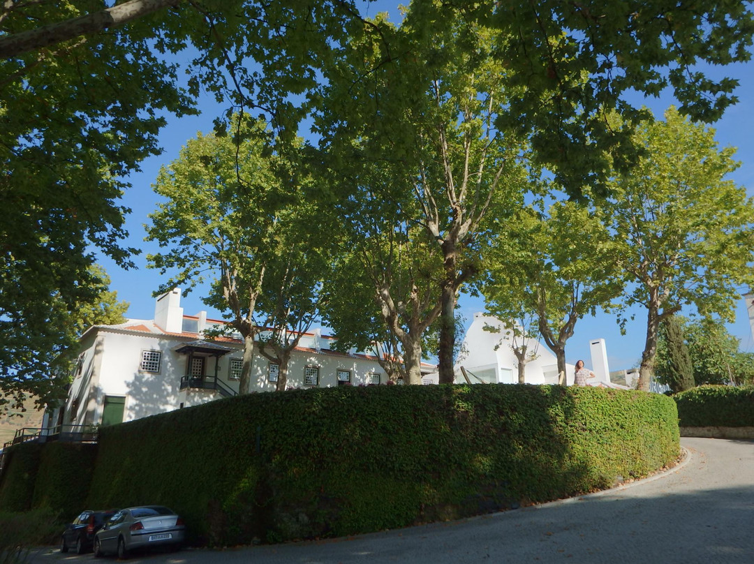 Quinta da Pacheca景点图片